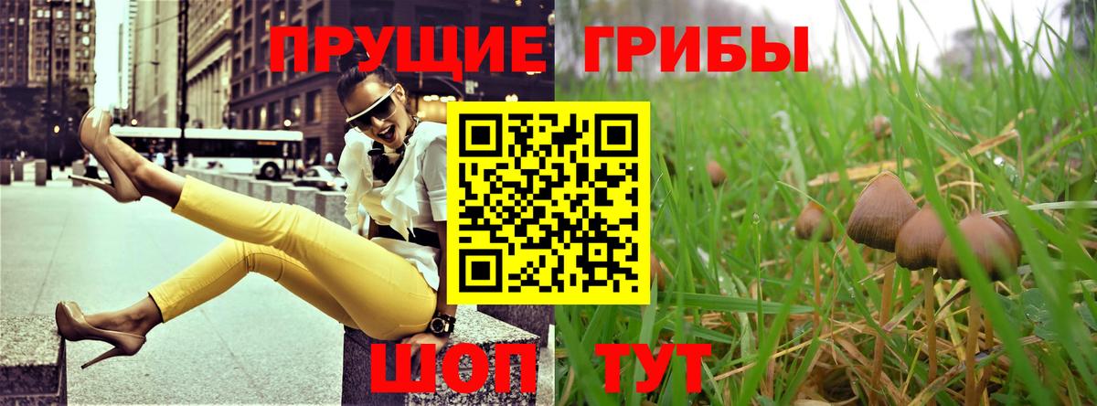 Большой Камень  Галлюциногенные грибы прущие грибы  Галлюциногенные грибы Magic Shrooms  Вход с VPN 