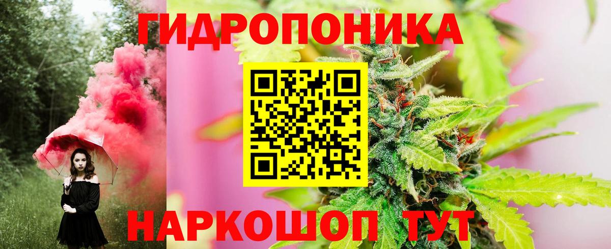 Шишки марихуана Amnesia  Вход с VPN  Шишки марихуана марихуана  Канабис планчик  Каннабис Ganja  Большой Камень 